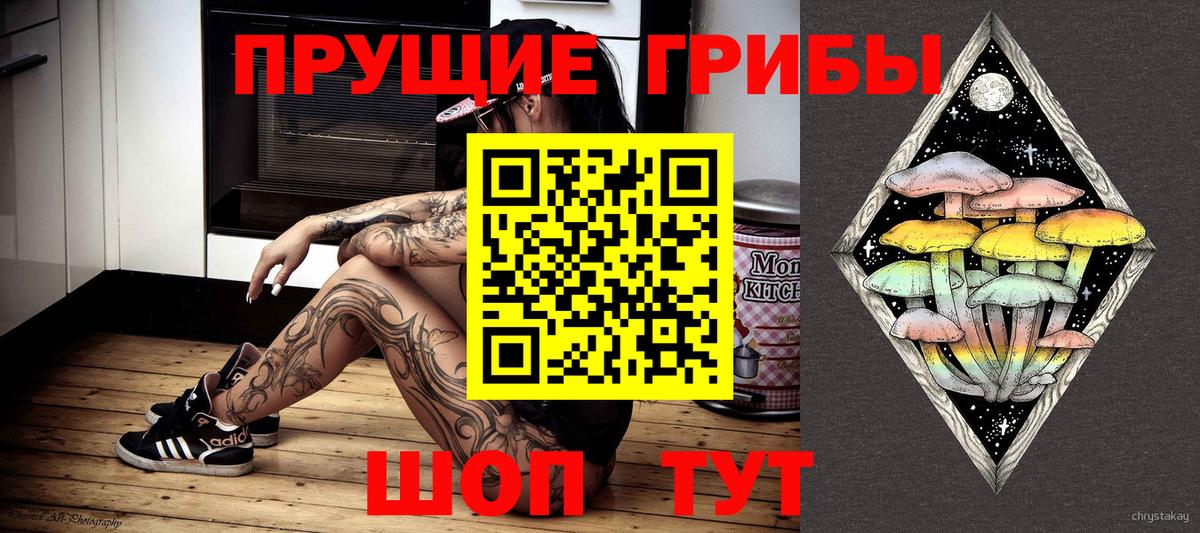 Псилоцибиновые грибы MAGIC MUSHROOMS  Вход с VPN  Псков  Псилоцибиновые грибы Psilocybe 