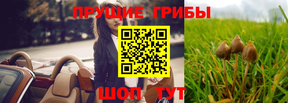 Галлюциногенные грибы ЛСД Псков